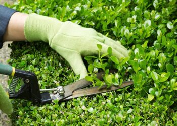Garden Maintenance Innovations: Smart Green Spaces